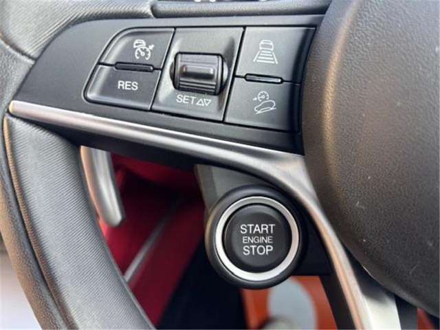 2019 ALFA Romeo STELVIO 缩略图 48