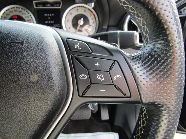 2013 Mercedes-BENZ A-CLASS 缩略图 13