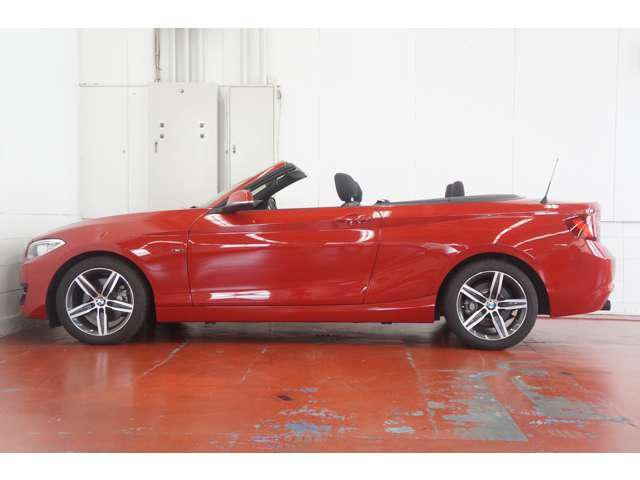 2015 BMW 2 SERIES CABRIOLET 照片 10