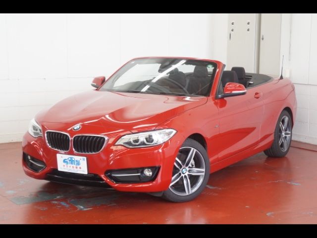 2015 BMW 2 SERIES CABRIOLET 缩略图 11