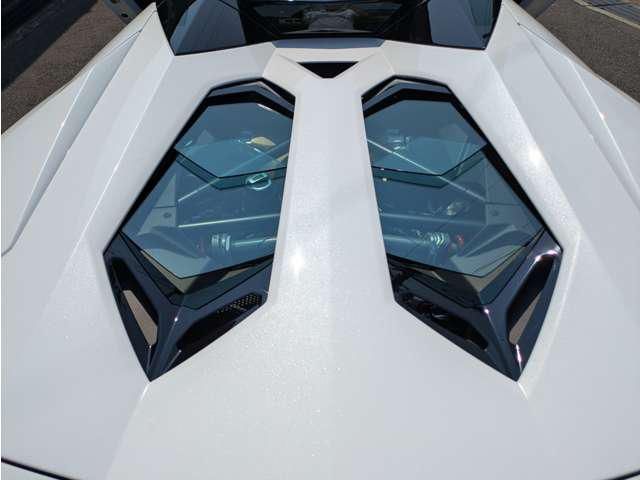 2022 Lamborghini AVENTADOR ROADSTER — миниатюра 16