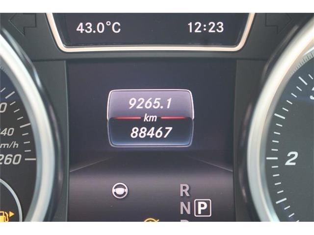2015 Mercedes-BENZ GLE 缩略图 19