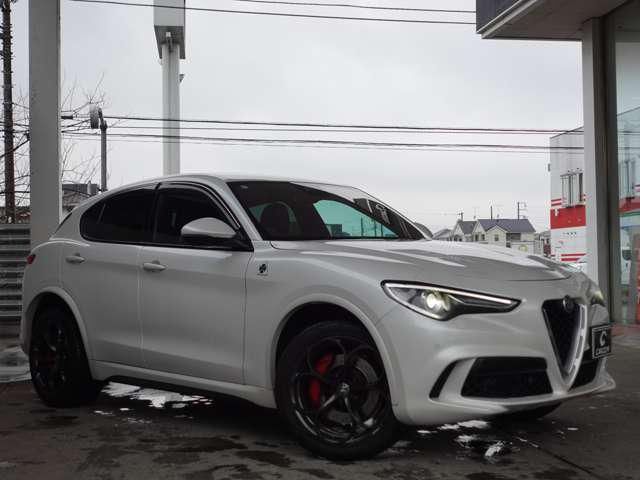 2019 ALFA Romeo STELVIO — фото 5