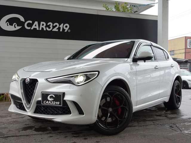 2019 ALFA Romeo STELVIO — фото 6