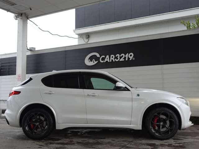 2019 ALFA Romeo STELVIO — фото 7