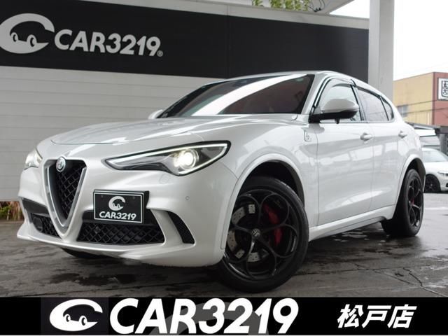 2019 ALFA Romeo STELVIO — фото 1
