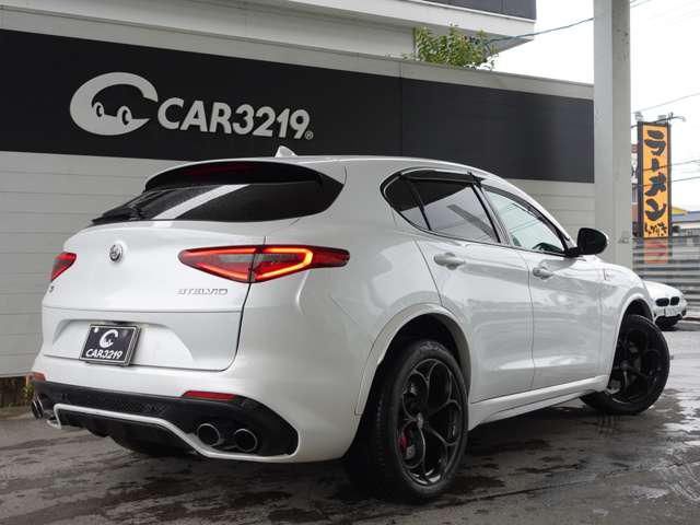 2019 ALFA Romeo STELVIO — фото 9