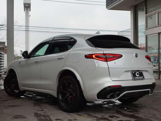 2019 ALFA Romeo STELVIO — фото 10