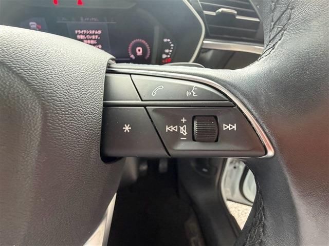 2021 AUDI Q3 SPORTBACK 缩略图 20
