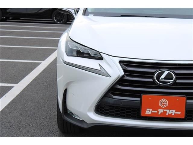 صورة 10 لـ 2014 Lexus NX
