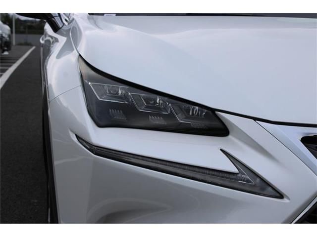 2014 Lexus NX 缩略图 12
