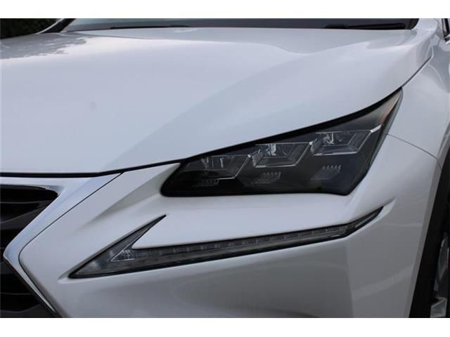2014 Lexus NX 缩略图 13