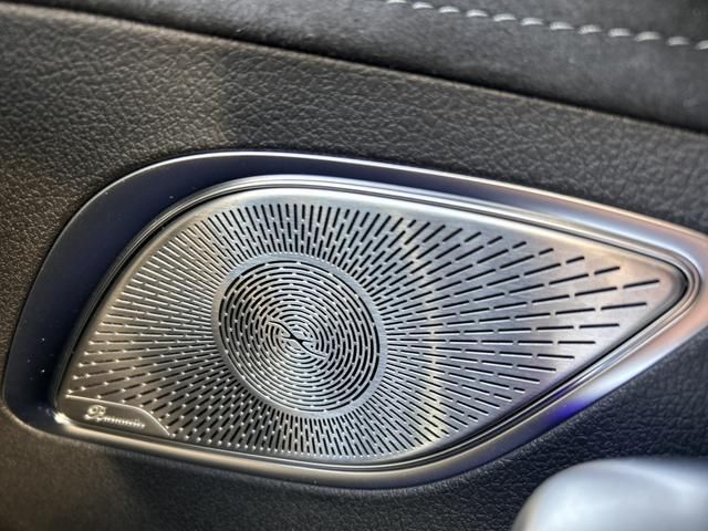 2023 Mercedes-BENZ EQE photo 9