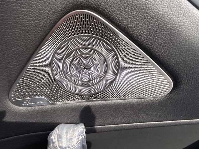 2023 Mercedes-BENZ S-CLASS 照片 8