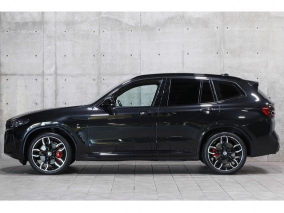 2023 BMW X3 照片 3