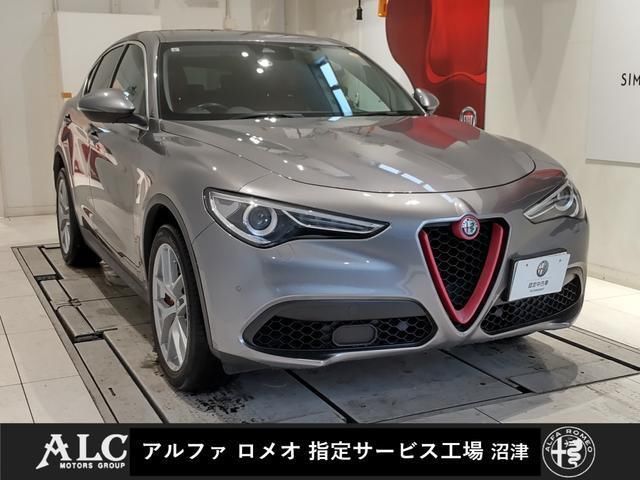 2019 ALFA Romeo STELVIO 照片 1