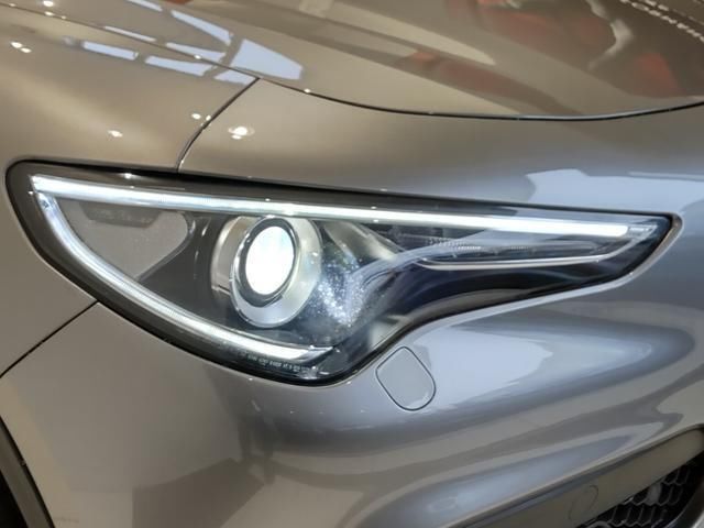 2019 ALFA Romeo STELVIO 照片 5