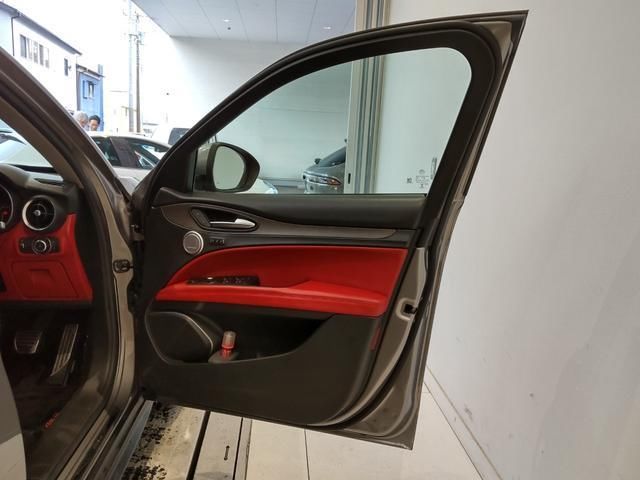 2019 ALFA Romeo STELVIO 照片 8