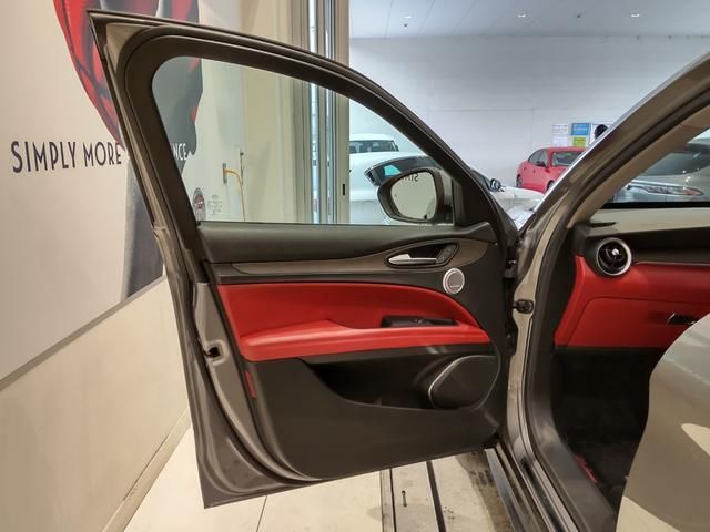 2019 ALFA Romeo STELVIO 照片 9