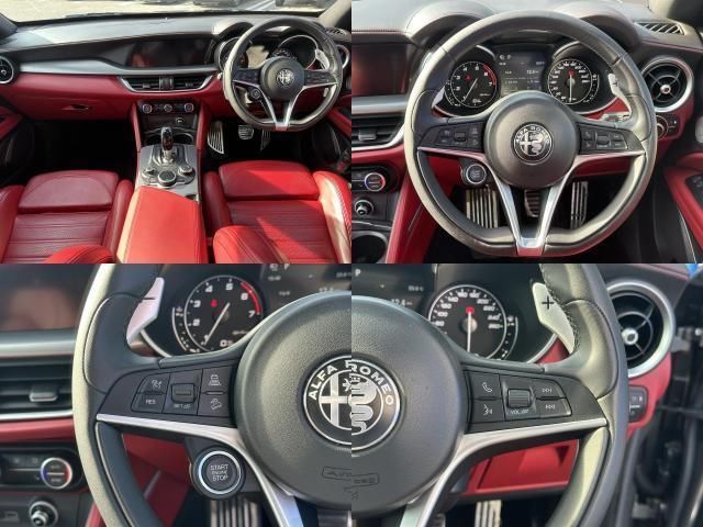 2019 ALFA Romeo STELVIO 照片 6