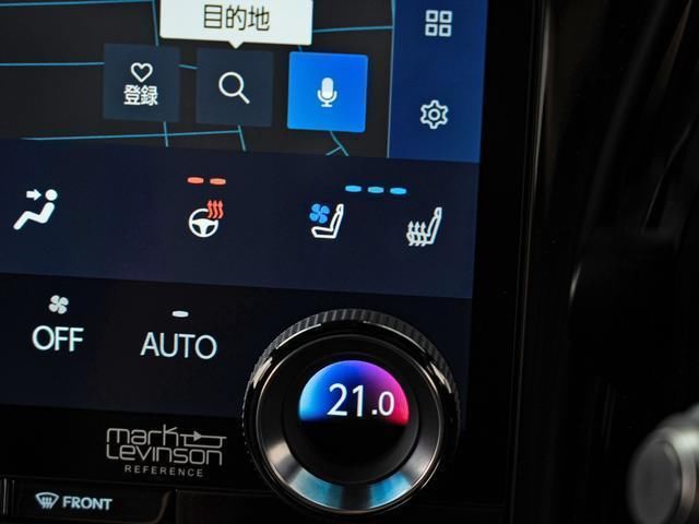 2024 Lexus LM photo 2