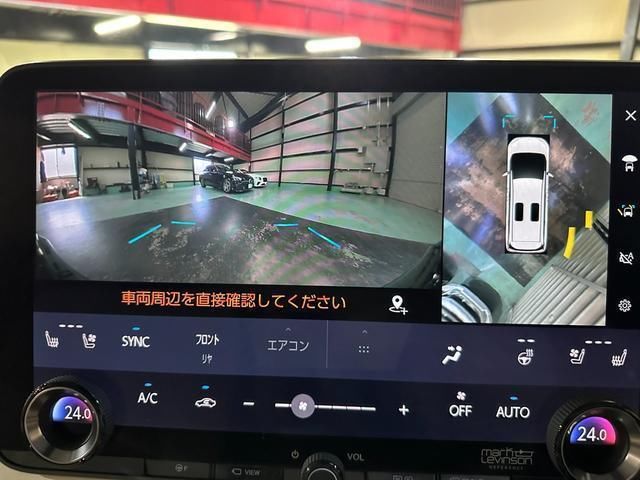 2024 Lexus LM 照片 6