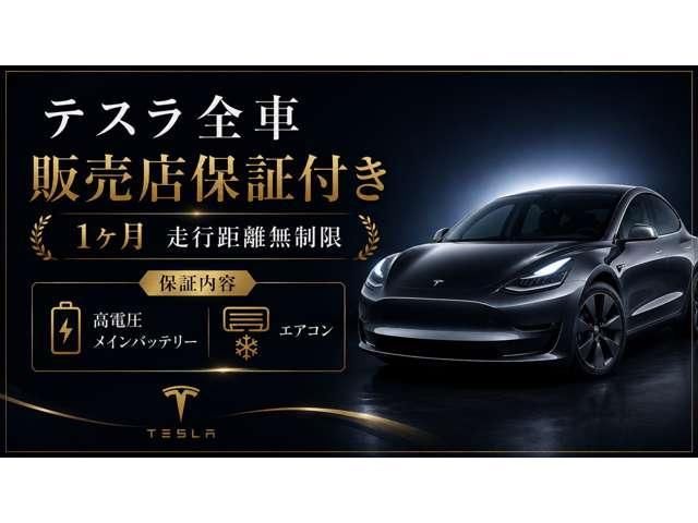 2019 Tesla MODEL 3 — фото 2