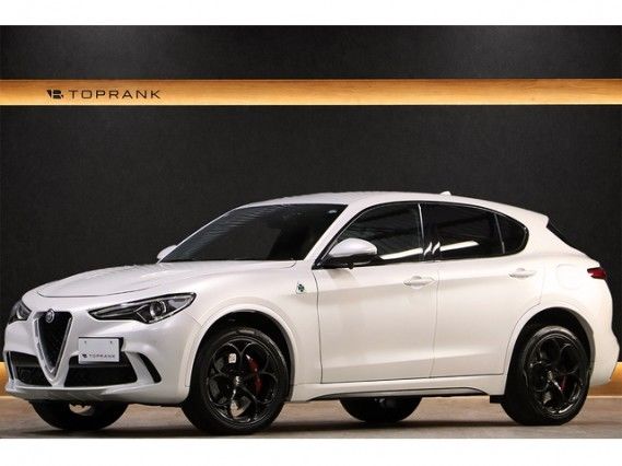 صورة 1 لـ 2019 ALFA Romeo STELVIO