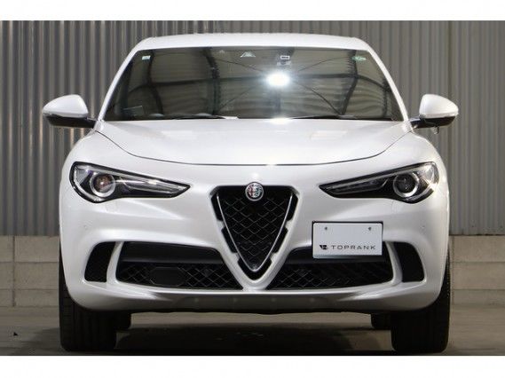 صورة 4 لـ 2019 ALFA Romeo STELVIO