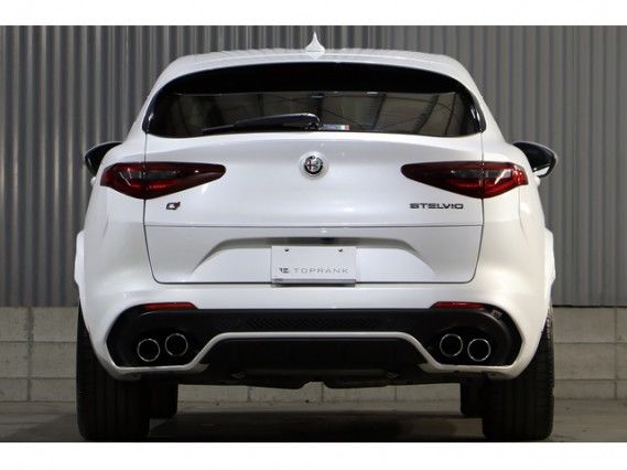 صورة 5 لـ 2019 ALFA Romeo STELVIO
