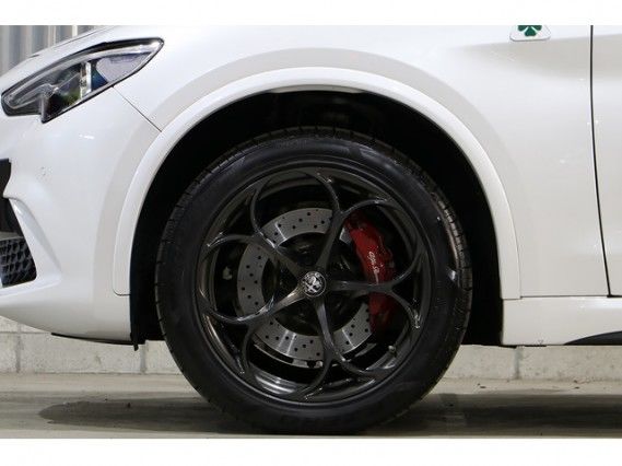 صورة 6 لـ 2019 ALFA Romeo STELVIO