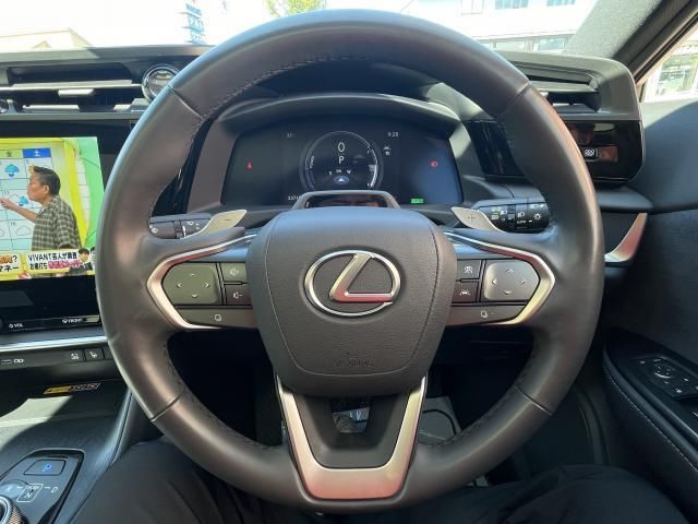 2023 Lexus RZ photo 8