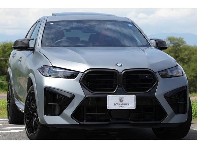 2024 BMW X6 M 照片 1