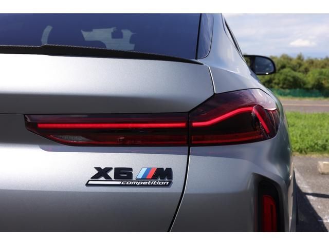 2024 BMW X6 M 照片 8