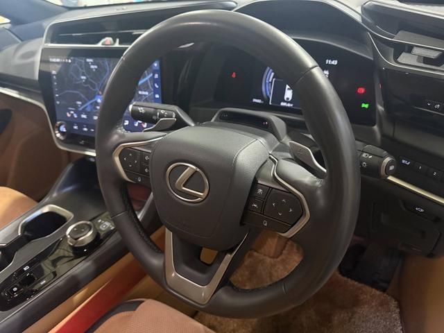 2023 Lexus RZ photo 8