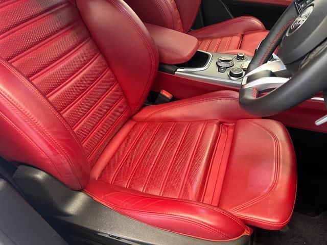 2021 ALFA Romeo STELVIO 照片 3