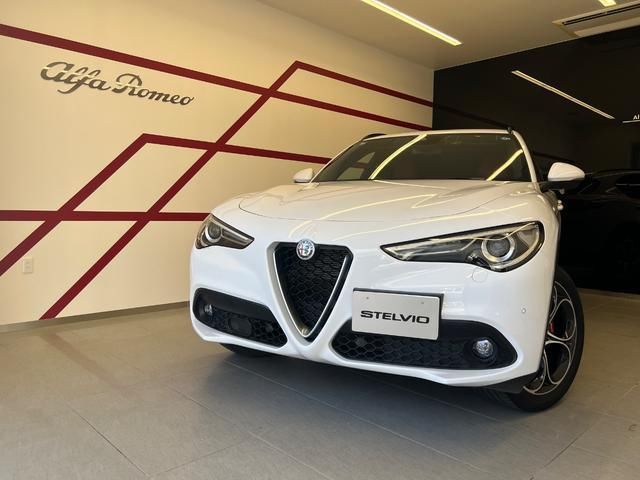 2021 ALFA Romeo STELVIO 照片 2