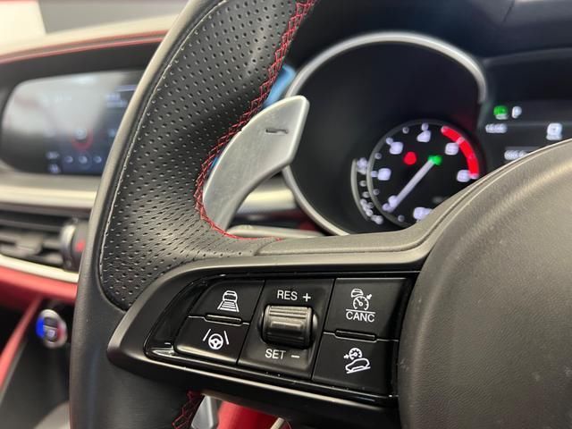 2021 ALFA Romeo STELVIO 照片 8