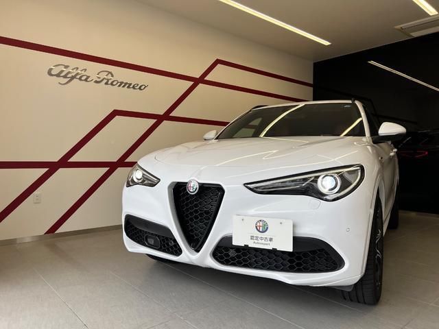 2021 ALFA Romeo STELVIO 照片 1
