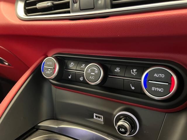 2021 ALFA Romeo STELVIO 照片 3