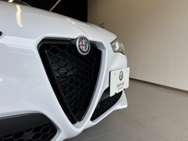 2021 ALFA Romeo STELVIO 照片 2