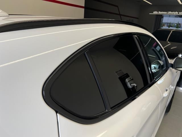 2021 ALFA Romeo STELVIO 照片 5
