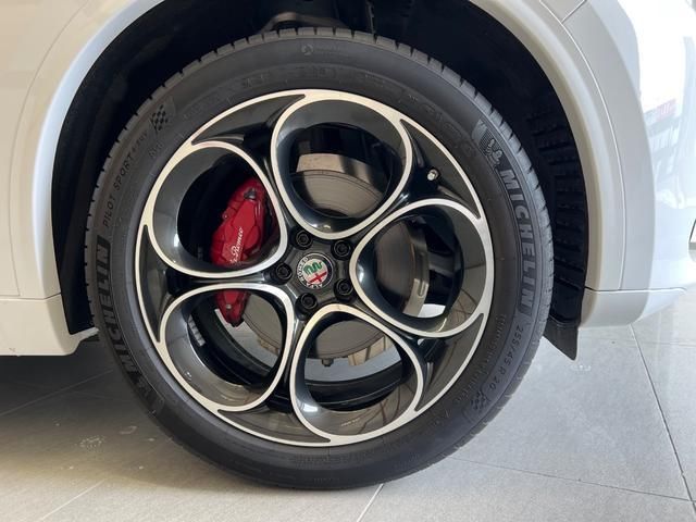2021 ALFA Romeo STELVIO 照片 6