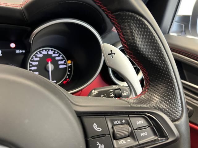 2021 ALFA Romeo STELVIO 照片 7